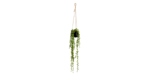 String Of Pearls Succulent Hanging Faux Potted Plant with String Hanger