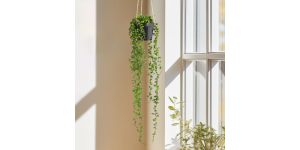 String Of Pearls Succulent Hanging Faux Potted Plant with String Hanger (2)