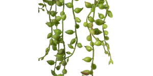 String Of Pearls Succulent Hanging Faux Potted Plant with String Hanger