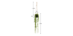 String Of Pearls Succulent Hanging Faux Potted Plant with String Hanger