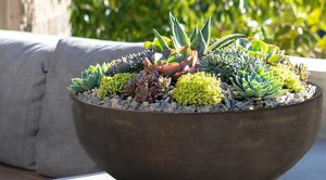 TAPERED-BOWL---RUSTIC-BROWN-2