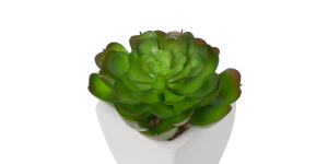 Tapered Mini Faux Succulent Potted Plant – Echeveria