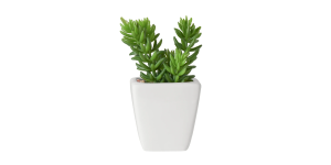 Tapered Mini Faux Succulent Potted Plant – Jellybean