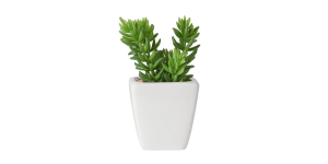 Tapered Mini Faux Succulent Potted Plant - Jellybean (3)