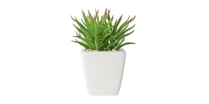 Tapered Mini Faux Succulent Potted Plant – Spike