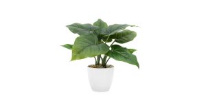 Villa 4.5d” Faux Potted 10″ Plant – Calla Leaf