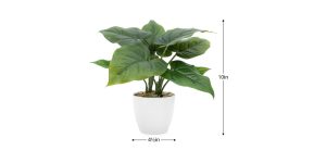 Villa 4.5d” Faux Potted 10″ Plant – Calla Leaf