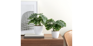 Villa 4.5d” Faux Potted 10″ Plant – Monstera