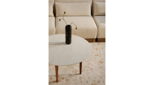 Lark Coffee Table- White (2)