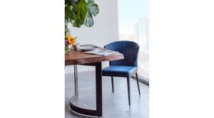 Delaney Dining Chair-Sky Blue (7)