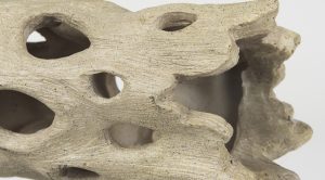 Dwell Cholla Wood Small