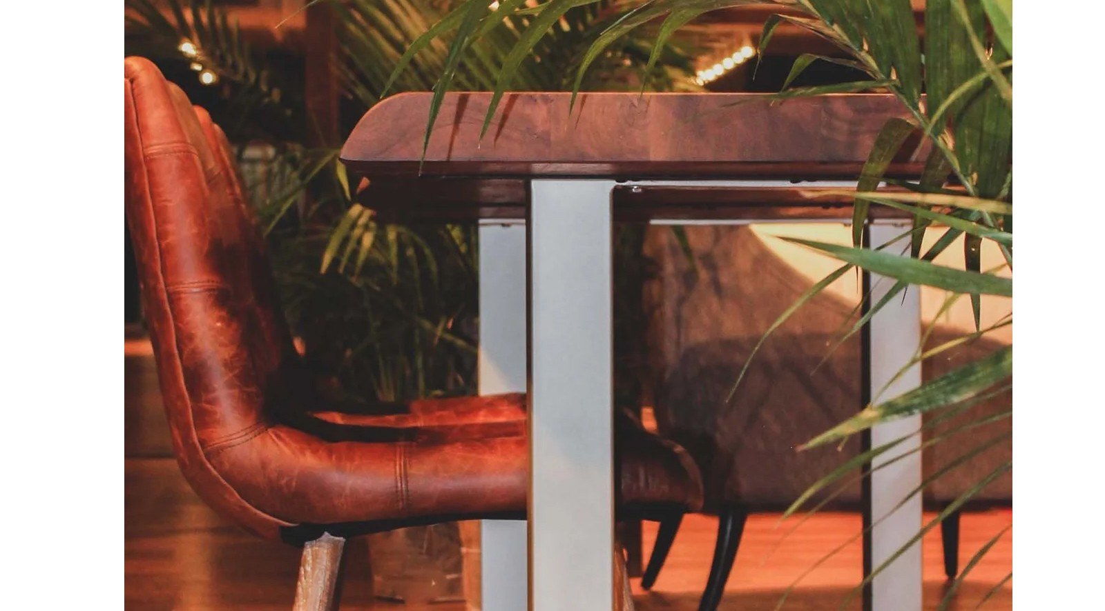 Phoenix Dining Chair - Image 6