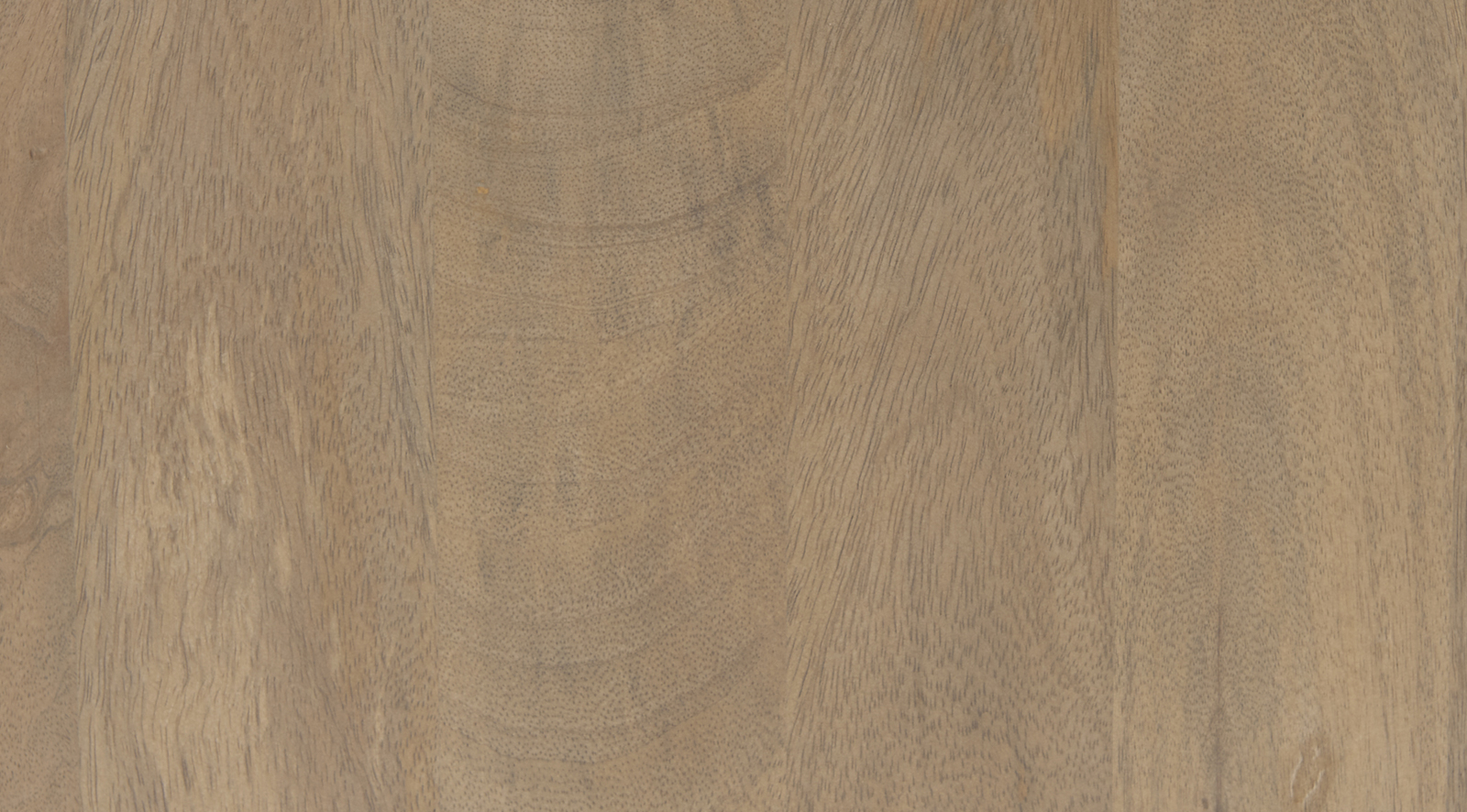 Sable - Image 6