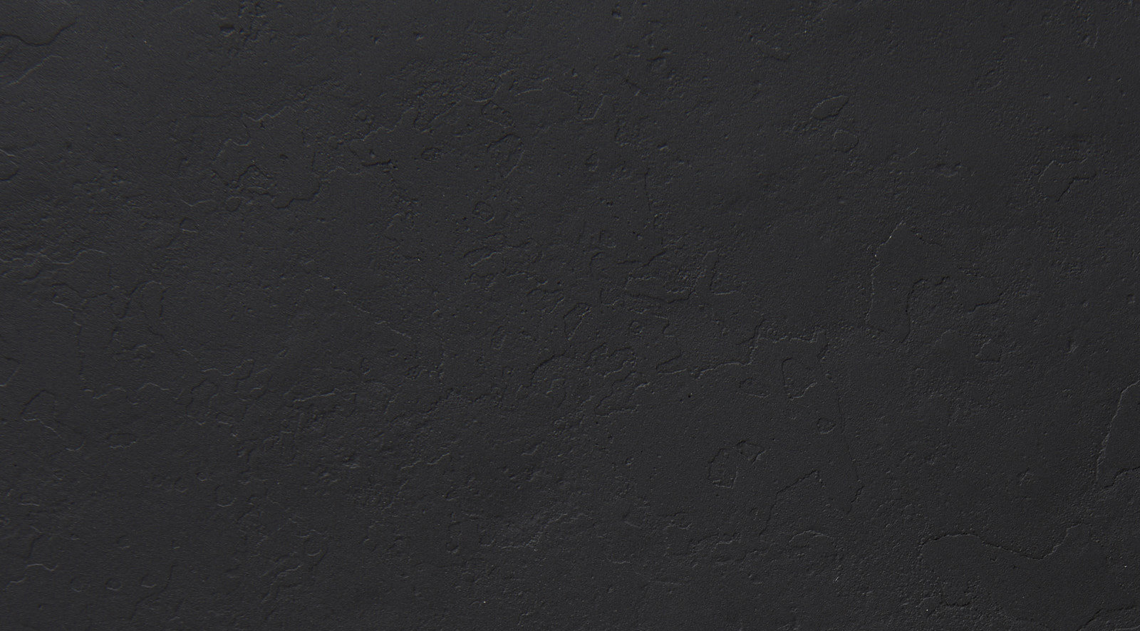 Timothy - Image 5