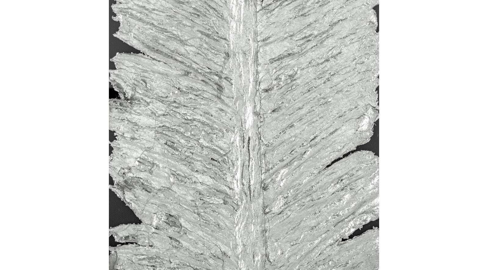Silvered Feather, Shadow Box - Image 3