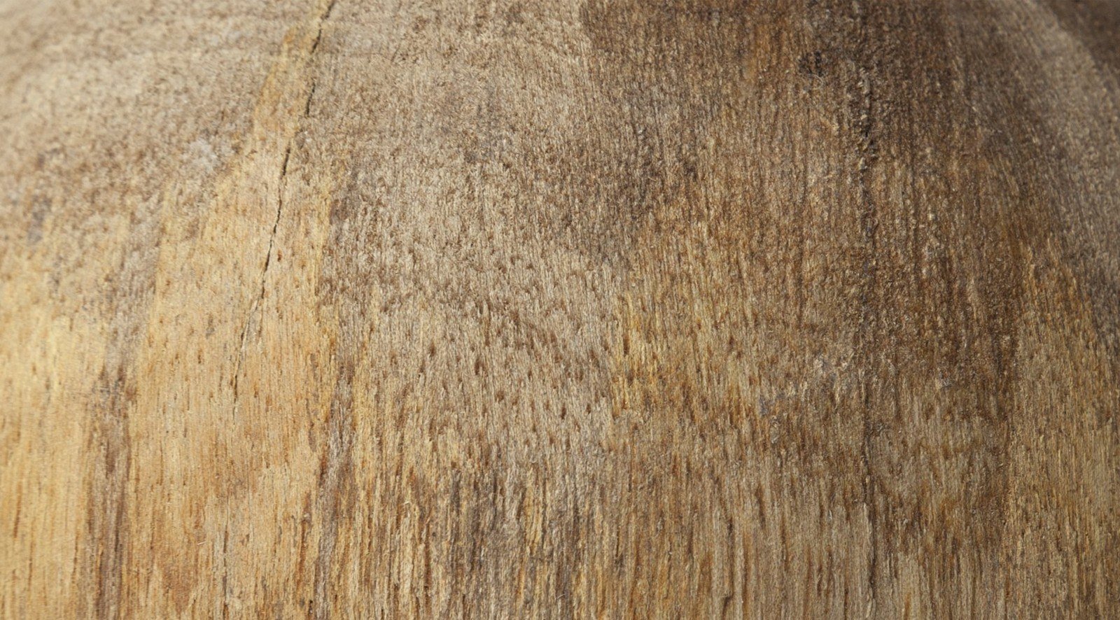 Carrick Object S/3 - Image 9