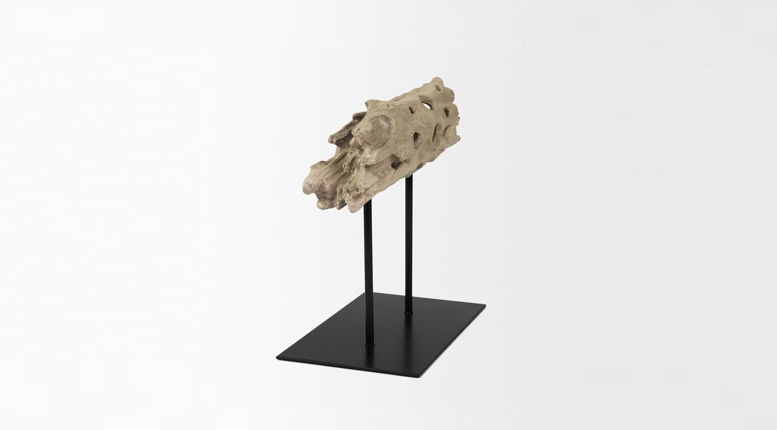 Dwell Cholla Wood Small - Image 2