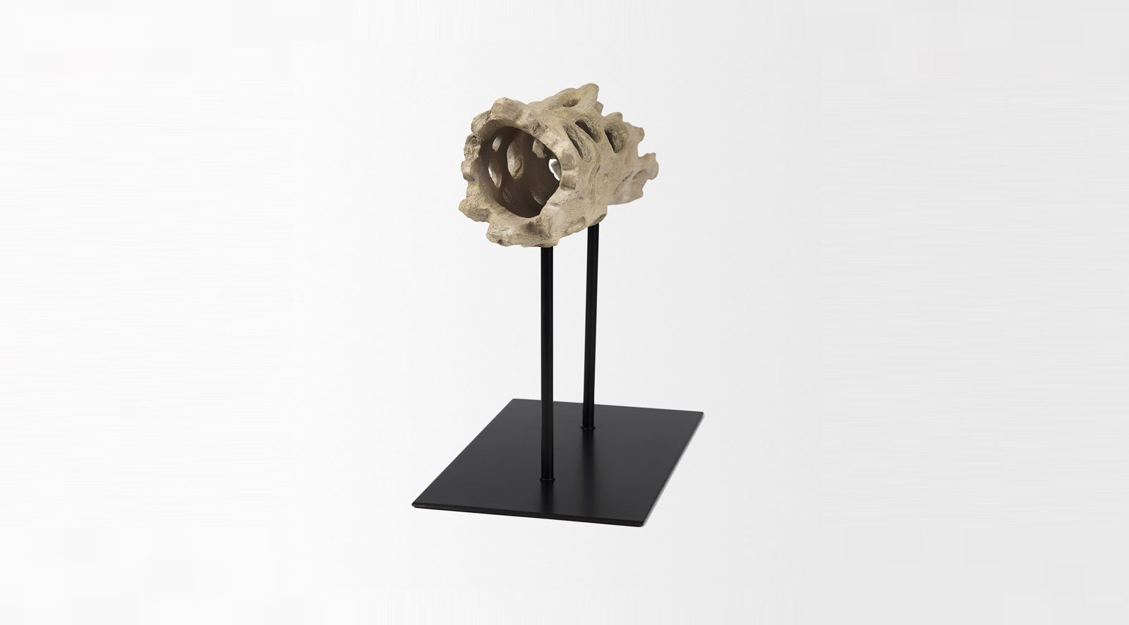 Dwell Cholla Wood Small - Image 4