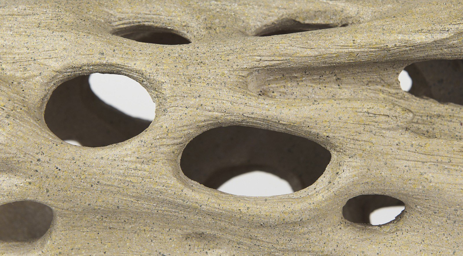 Dwell Cholla Wood Small - Image 10