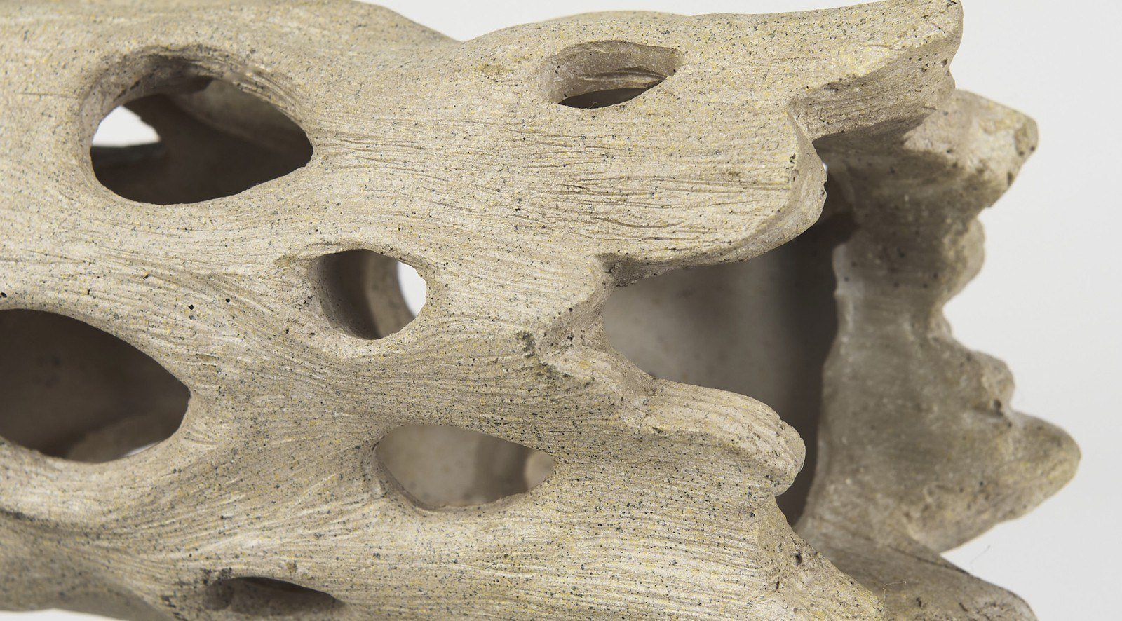 Dwell Cholla Wood Small - Image 9