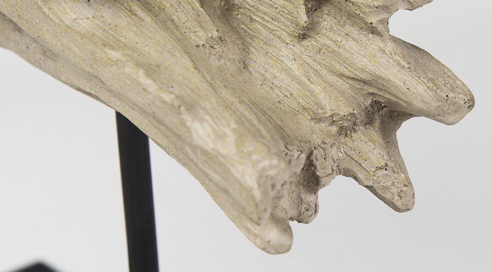 Dwell Cholla Wood Small - Image 8