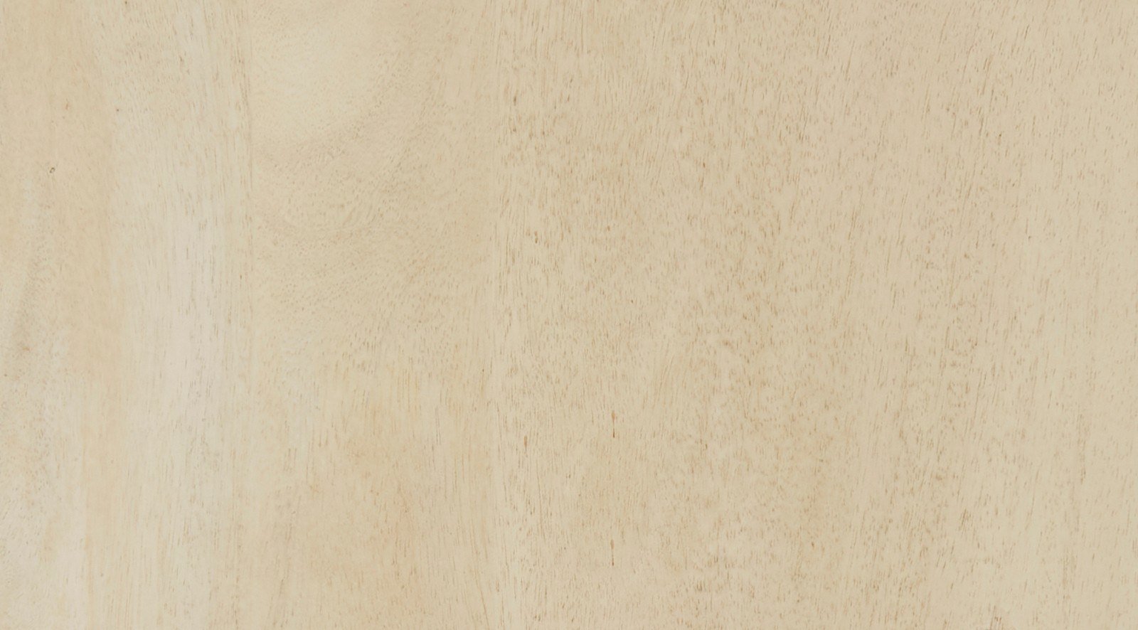 Hogarth 36.0L x 16.0W x 34.0H 2 Door Blonde Wood Accent Cabinet - Image 10