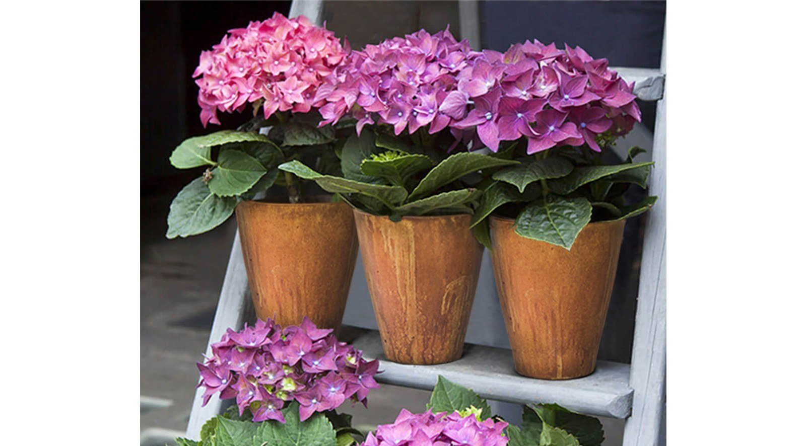 Rustic Medium Vase - Corten - Image 3