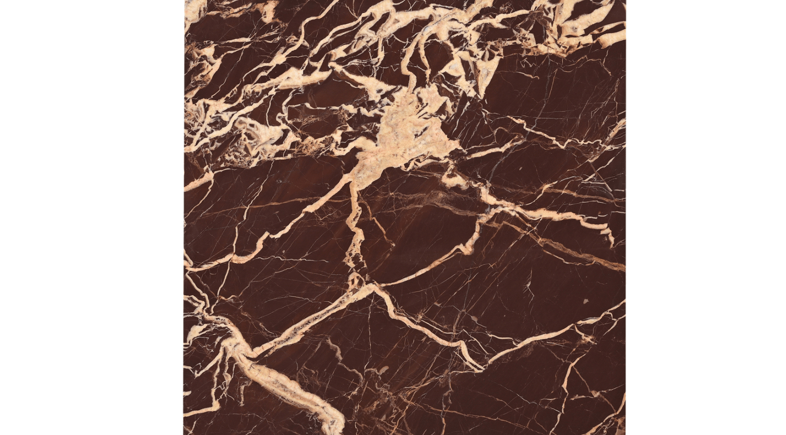 Rosa Coffee Table- Rosso Levanto Marble - Image 4