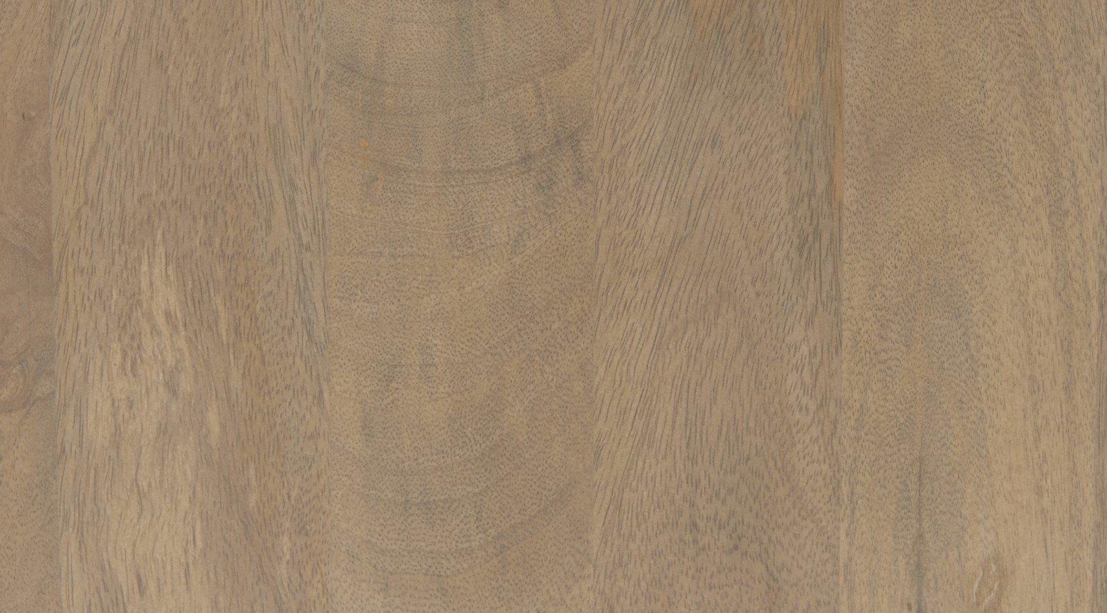 Sable - Image 6