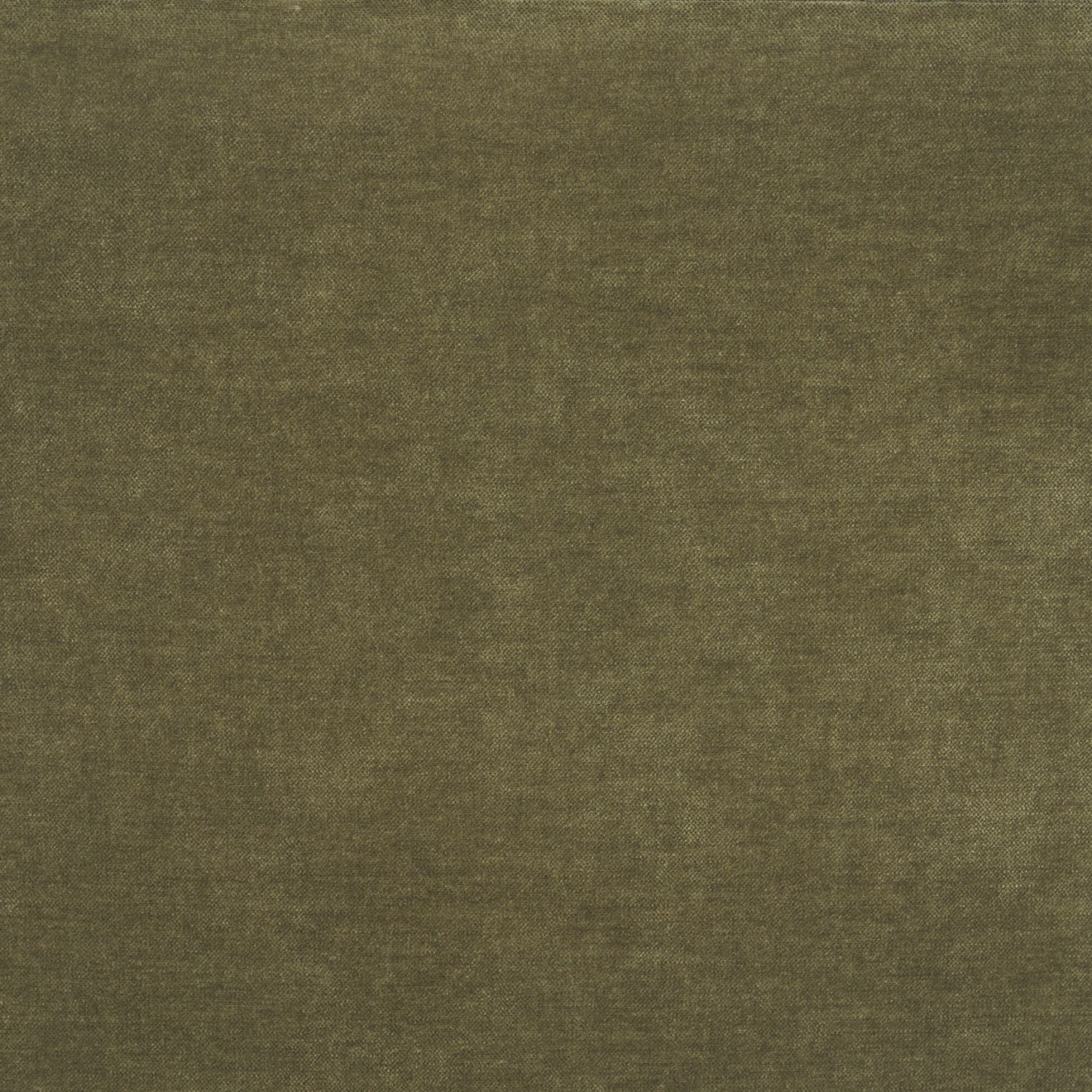Niles Wingback Dining Chair | Moss Olive Fabric w/ Wooden - Image 11