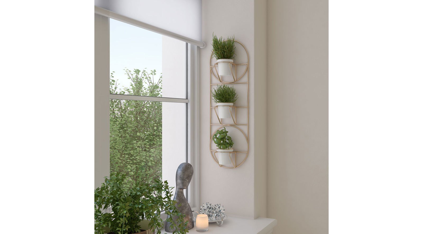 Poppy - Image 5