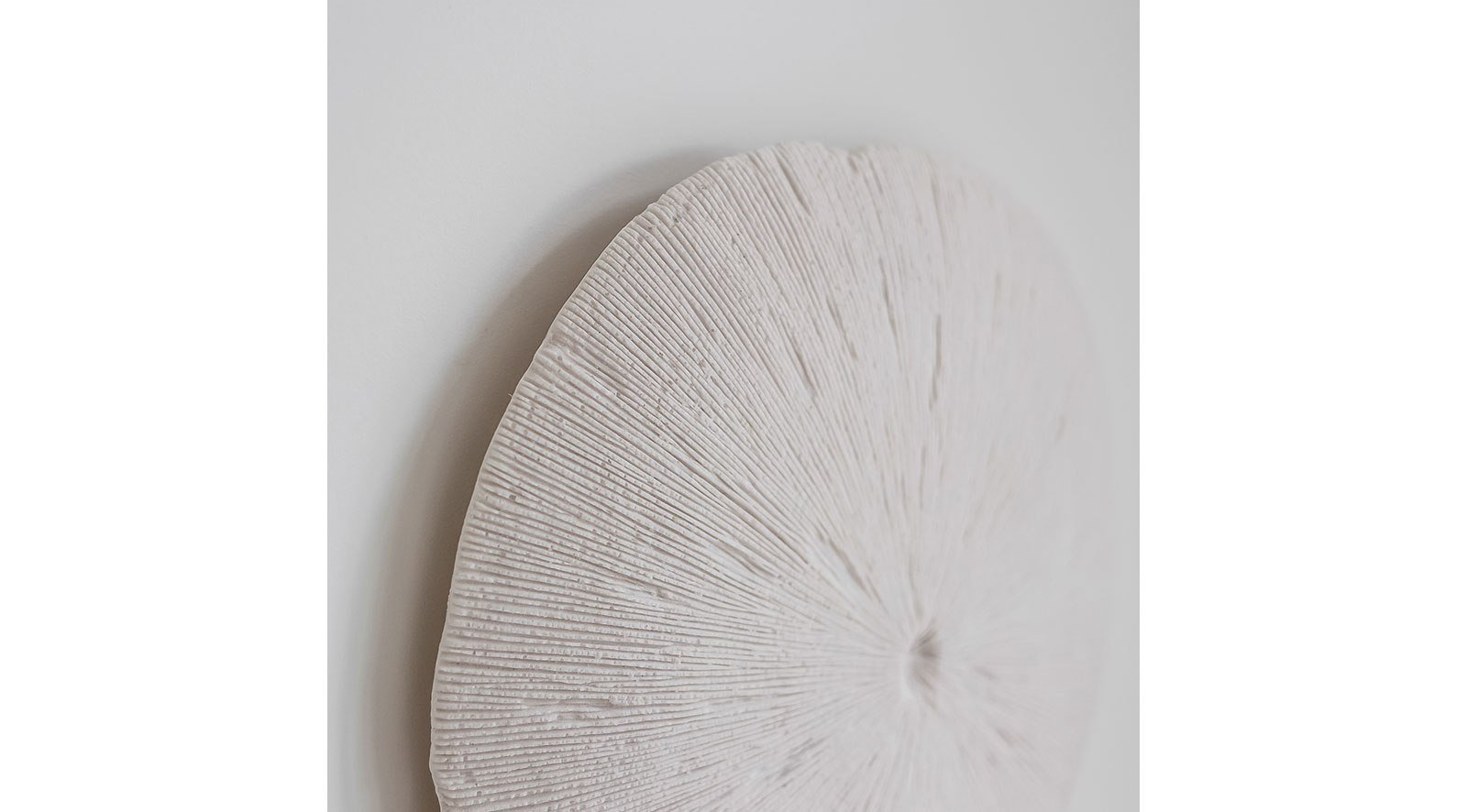 Sand Dollar – Small - Image 2