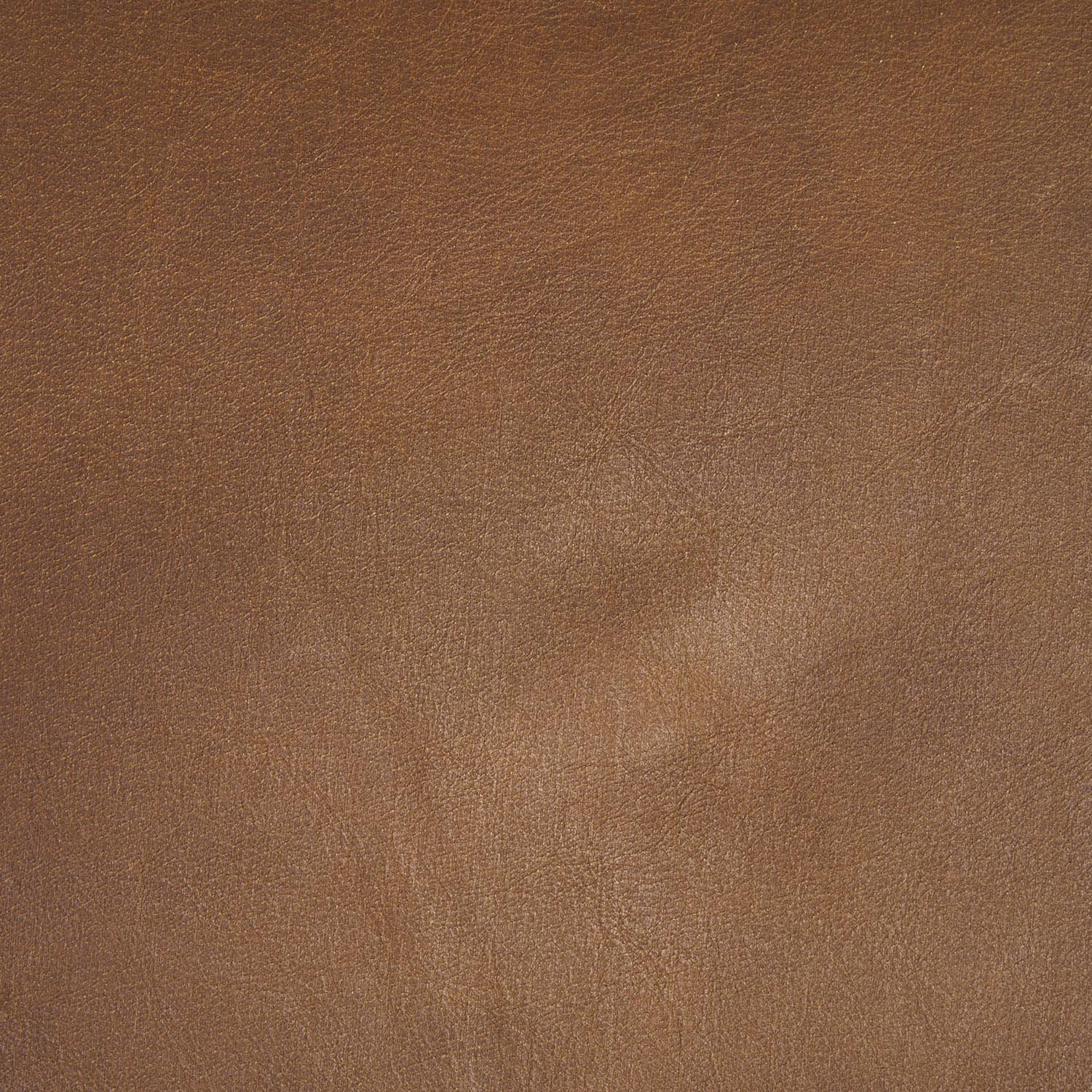 Taniel Stool - Image 5